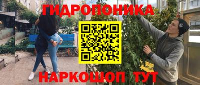 apvp Лесосибирск