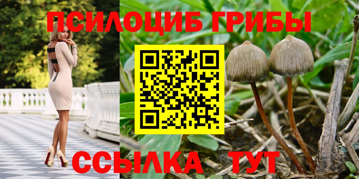 Псилоцибиновые грибы GOLDEN TEACHER  Вход с VPN  Калач-на-Дону 